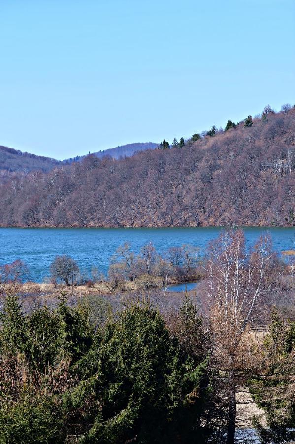 Drozdowka Nad Solina - Chata Z Kominkiem Buitenkant foto